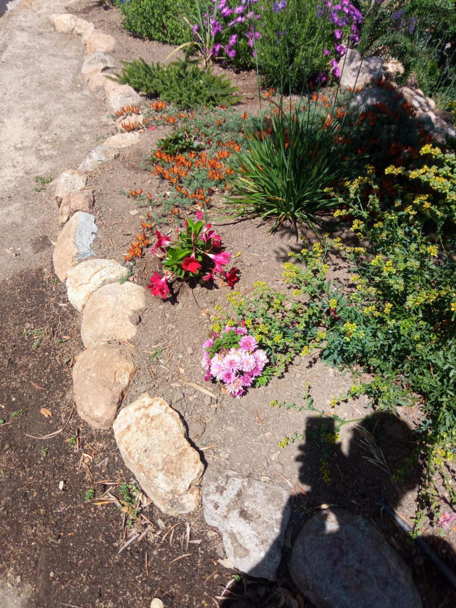 몬시크 Casa De Celebrar A Vida 빌라 외부 사진